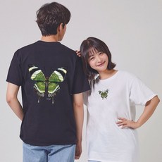 버터플라이티