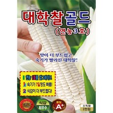 (씨앗) 대학찰 옥수수 골드 (연농3호) 2천립 - 대학찰골드옥수수 씨앗 종자 - 전문농가용 대포장