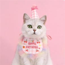 강아지 고양이 오로라 생일 케이프 모자 세트 생일 고깔모자 스카프, 스카이블루, 1개