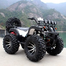 250cc atv 오토바이 전기 바이크 액티비티 오프로드 농업용 사륜 스쿠터 전동 산악