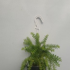 d3998492c7b57f68a082907b5e6c12c7aaafe43e9fe749ba301c174aa461.jpg
