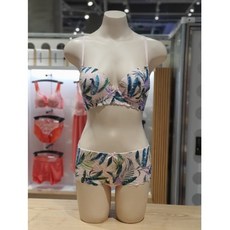 섹시쿠키브라