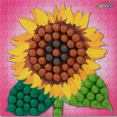 플레이콘해바라기