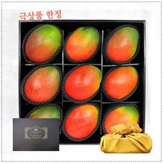 [재구매율1위] 특상품 스페셜 페루산 애플망고 선물세트, 프리미엄 1호, 1box