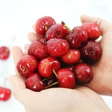 생체리친환경 TOP01