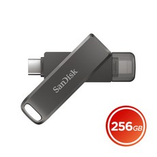 샌디스크256gb