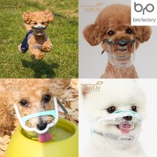 루브립 입마개 강아지 투명 마스크 모음, 애플 (M)