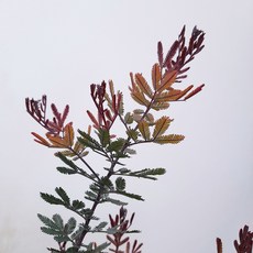 d46c0282671bee12acd09e15cf9f4934ea050a74dbf34abf906fef94c990.jpg