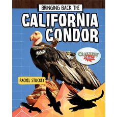 Bringing Back the California Condor Paperback, Crabtree Publishing Company