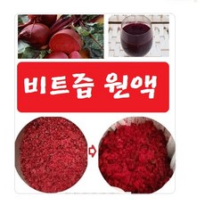고랭지비트