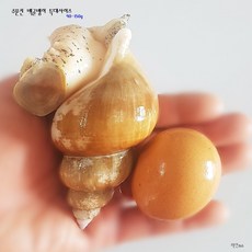 ef2999f32746a6c4609f6068da877553d48519bb0becc86cb4f0f2d42d37.jpg