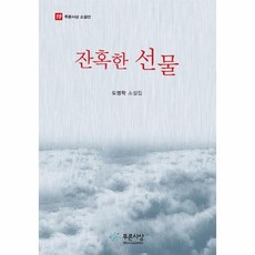 잔혹한 선물-19(푸른사상소설선), 상세페이지 참조, 상세페이지 참조