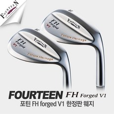 정품 포틴웨지 FH-V1 한정판/NSPRO950HT/DG Forged, DG스틸, 54도