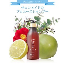 아이오아시스2000