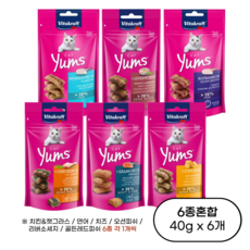 비타크래프트 고양이간식 캣얌, 6종혼합, 40g, 6개