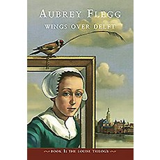 Wings Over Delft Paperback, O'Brien Press, English, 9780862788865