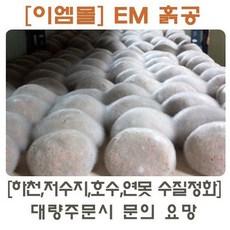 [이엠몰] 업그레이드 EM 세라믹흙공 50개세트(개당350g), 50개