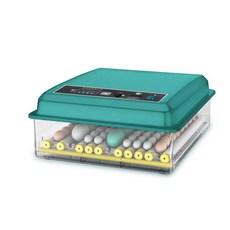 달걀부화기 전란 농장 오리 거위 키우기 온도조절, 1개, 56개 이중 모델