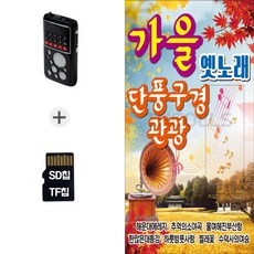 더올스 [DG] 라디오212+SD노래칩 가을옛노래 단풍구경 관광