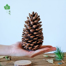99b7eba5ec3da23d7d0ad873063b3087aea9c87867c51d68d9e473bd2c13.jpg