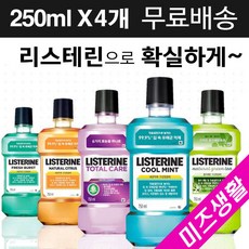 //상품명