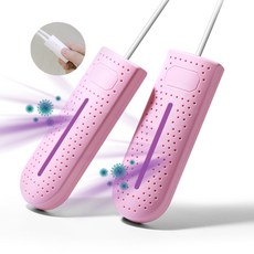 신발자동살균소독신발장