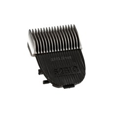 페도라뉴아바핫딜