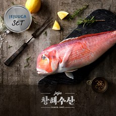 제주옥돔제수용