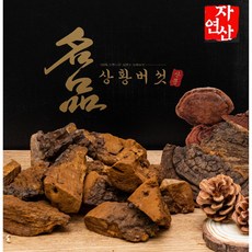 상황버섯 70년산 500g 자연산 정품 산뽕나무상황버섯 원형발송 효도선물 고급포장, 1개