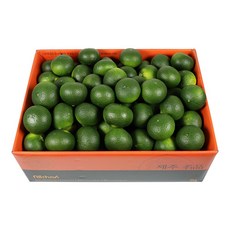 삼다몰 제주 청귤(풋귤) 3kg 5kg 10kg, 제주 청귤(풋귤) 5kg, 1박스