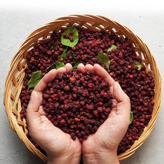 건오미자500g