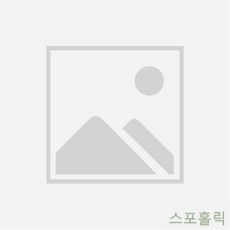 YW6FB921 홈트레이닝기구 휠 허리기구 운동 코어 스포홀릭 AB슬라이드 복근 일자형손잡이 복부기구 기구 실내기구 홈짐세트