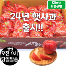 [오전8시 주문건 당일발송] 12브릭스 당도선별 세척사과 3kg (16~21입 소과)