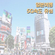 플라잉비 일본 소뱅 5G지원 유심 데이터전용 일일요금제