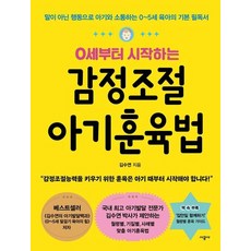 0세부터 시작하는 감정조절 아기훈육법 : 말이 아닌 행동으로 아기와 소통하는 0~5세 육아의 기본 필독서, 상품명