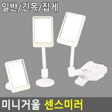 어반디케이캣콜