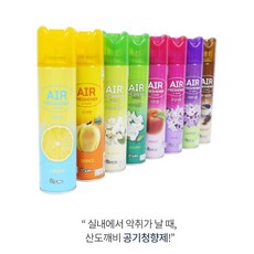 사무실냄새 퀘퀘한냄새 공기정화 분사형 공기탈취제300ml 펜션 홀 가성비