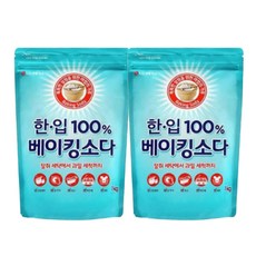 한입 베이킹소다 알파, 1kg, 2개