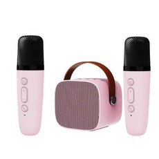 가정용 귀여운 노래방 미니 무선 마이크 블루투스 스피커 휴대용 오디오 포함 가족 기계 신제품, 09 Pink with 2 mic, 1개