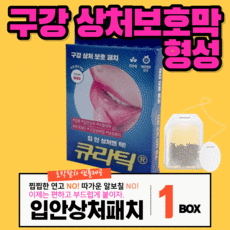 넣입밴드