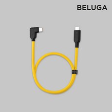 벨루가케이블