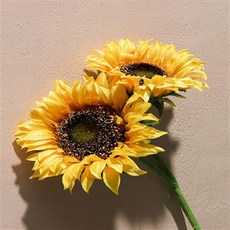 d18fb18970bd2550f3073219b011c3abcd652b0b3b0934f2657d39f77389.jpg