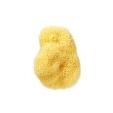 뷰티풀스킨천연해면스펀지