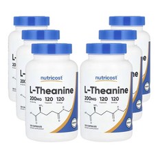 뉴트리코스트 L-테아닌 200mg, 120정, 6개