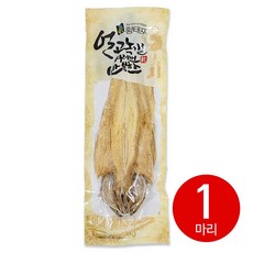 해미담 최상품 황태 국내가공 용대리 황태포 북어포 특대사이즈 46cm~48cm, 1개