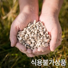 향부자