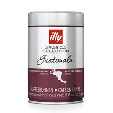 일리안통풍시트