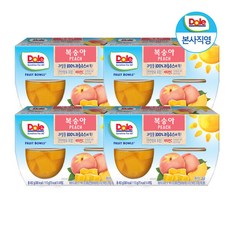 Dole 후룻볼 복숭아 4팩 총 113g x 16개입, 16개