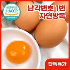 산다라 자연방목 유...