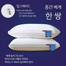 듀벳호그 베게 필로우 올시즌 2종 여름 푹신한 킹 비건 세트 침구, B.클래스A항균진드기는한쌍의베개